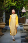 IVY Cotton Luxury Shirt