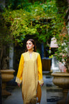 IVY Cotton Luxury Shirt